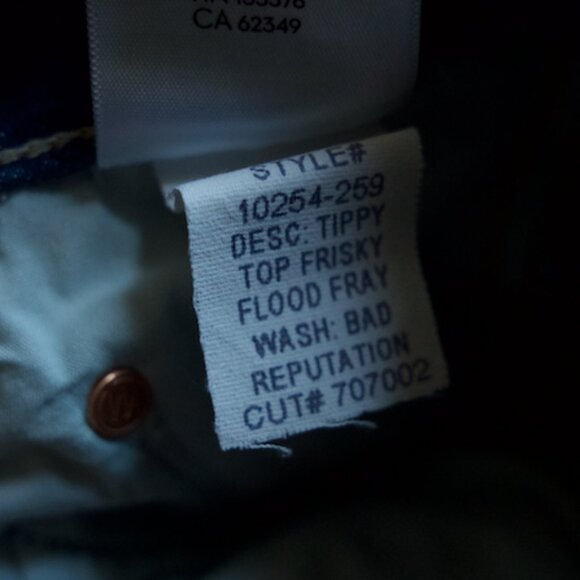 Mother 24 Tippy Top Frisky Flood Fray Jeans - Picture 8 of 9